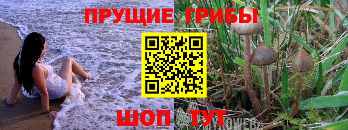 Кыштым  Псилоцибиновые грибы MAGIC MUSHROOMS  Псилоцибиновые грибы GOLDEN TEACHER  Вход с VPN 